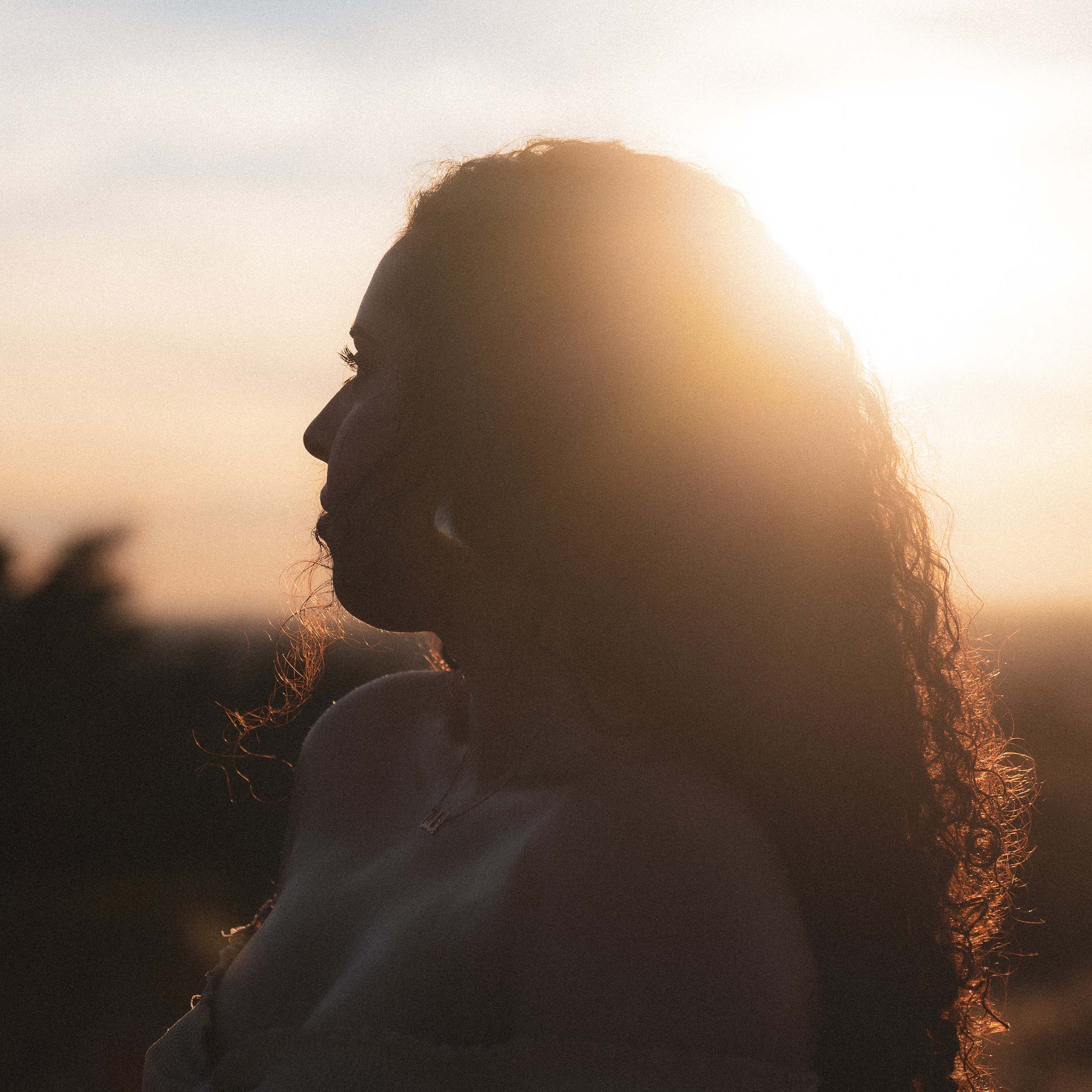 It Was Good While It Lasted — a profile against low sun, warm haze